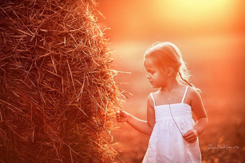 Летоphoto preview