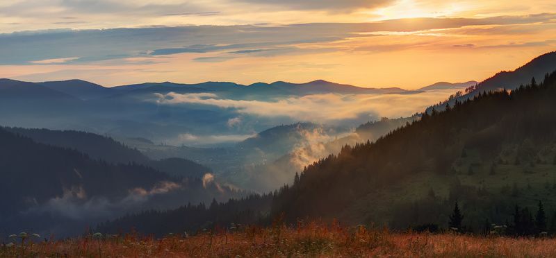 Начинается новый деньphoto preview