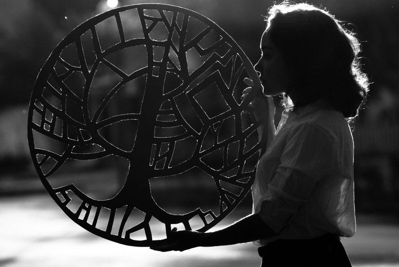 Ловец солнцаphoto preview