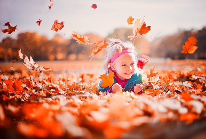 Осеньphoto preview