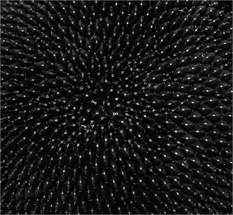 фото фото превью