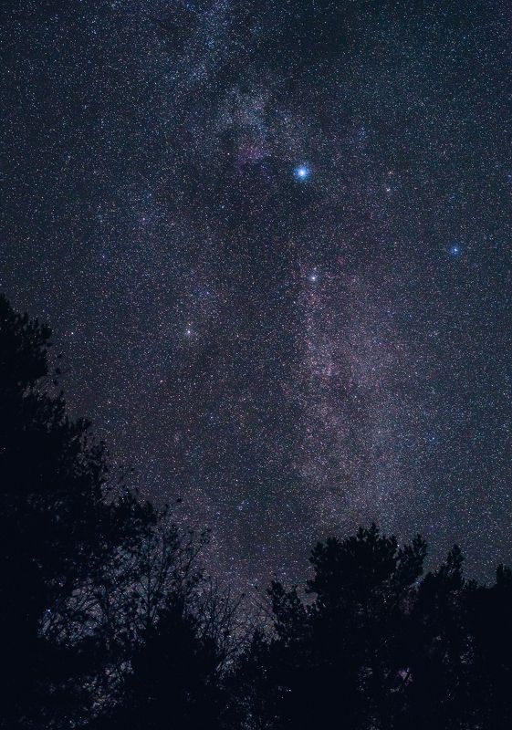 Осенняяphoto preview