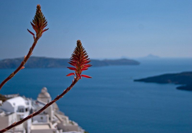 Санторини, Грецияphoto preview