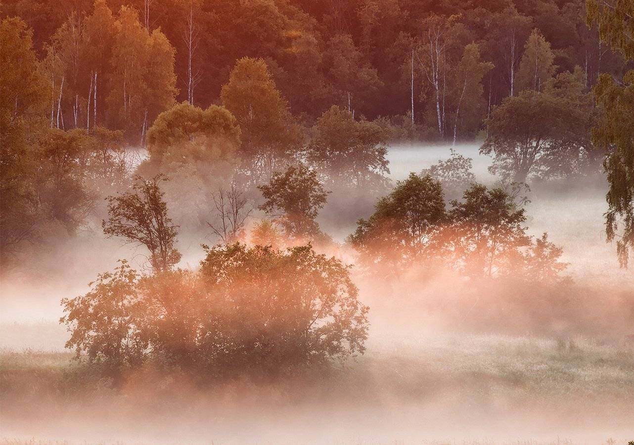 , Владимир Перепечаев