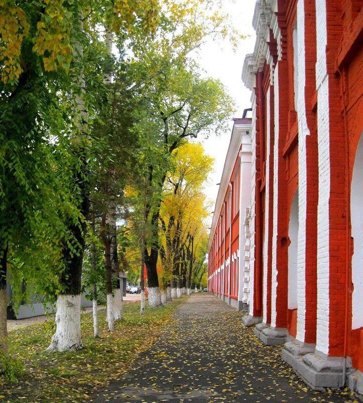 Елена, Russia