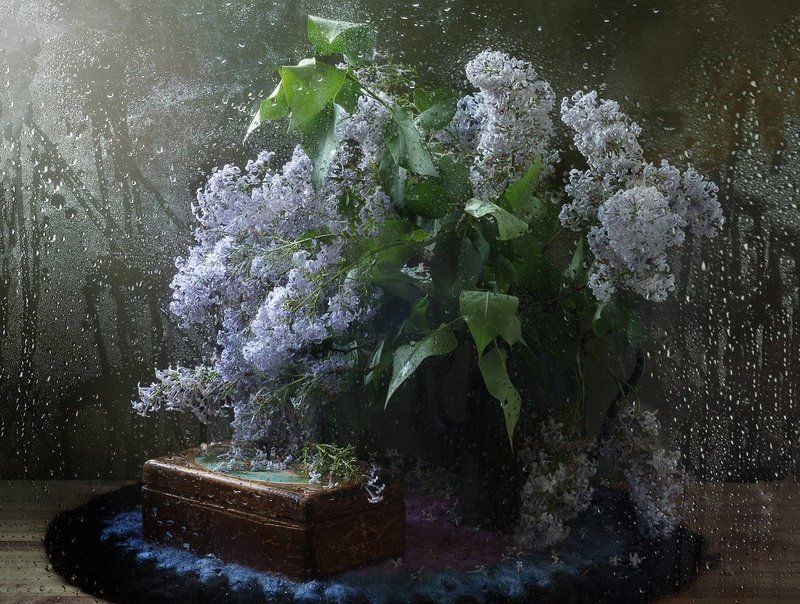 натюрморт, сирень, капли, мокрое стекло, шкатулка, весна, дождь Про мокрую сиреньphoto preview