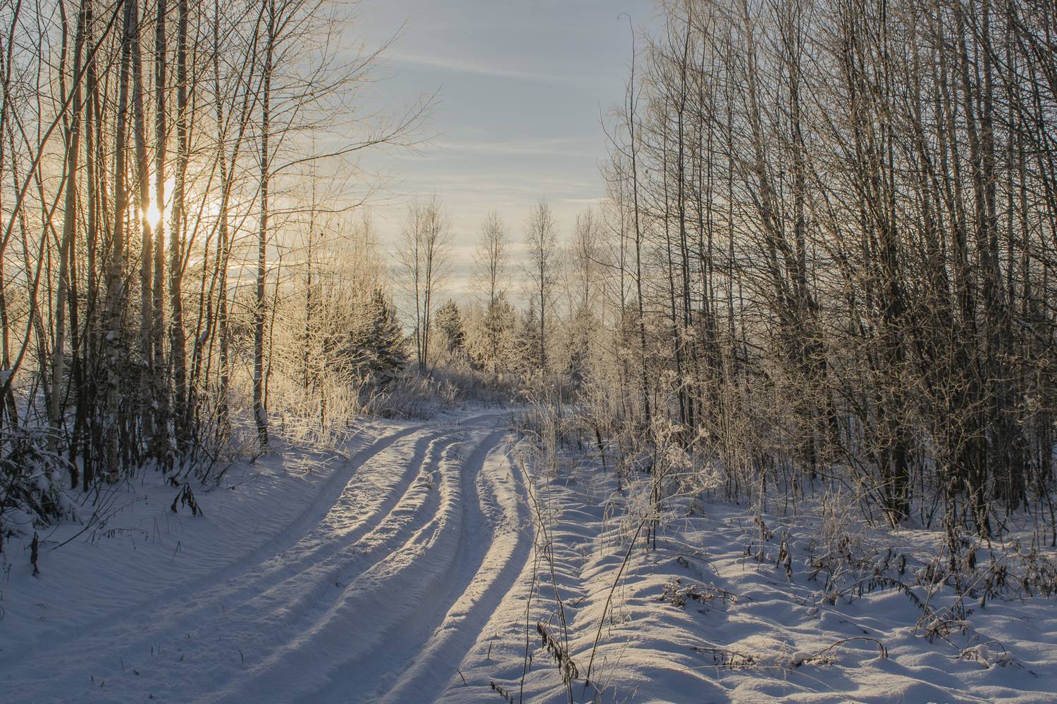 , Галина Луценко