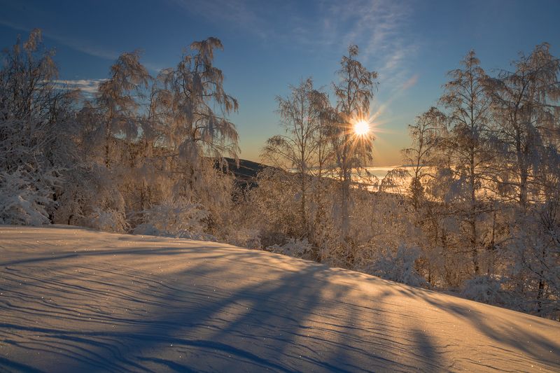 зима, гора, снег, Болгария, Витоша, солнце Зима на Витошеphoto preview