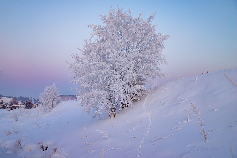зима, иней, вечер, кын Морозный вечер в селе Кын-Заводphoto preview