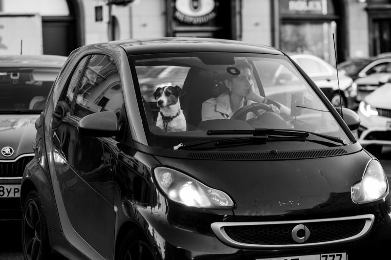 moments, mood, msk, moscow, time, monochrome, moscowblackandwhite, life, film,female,woman,bw,blackwhite,black and white,blackandwhitephoto,bnw, documentary, russia,reportage, human, street, StreetPhotography, streetphoto, street life, street moscow, stre Moscow | afterphoto preview