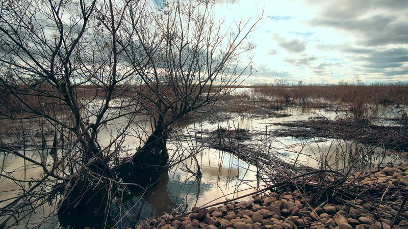 Осенняя охотаphoto preview