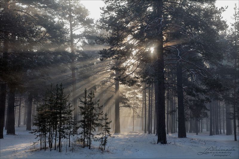 забайкальский край Минус 35photo preview