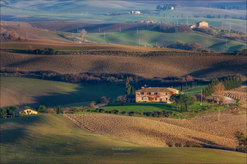 italy,san quirico d\\\'orcia,italia,италия,тоскана,pienza,кипарис,toscana,осень,tuscany,cipressi,belve,dere,пьенца,тени,серия,nature,agriculture,rural Окрестности Сан-Квирико-д\'Орча...photo preview