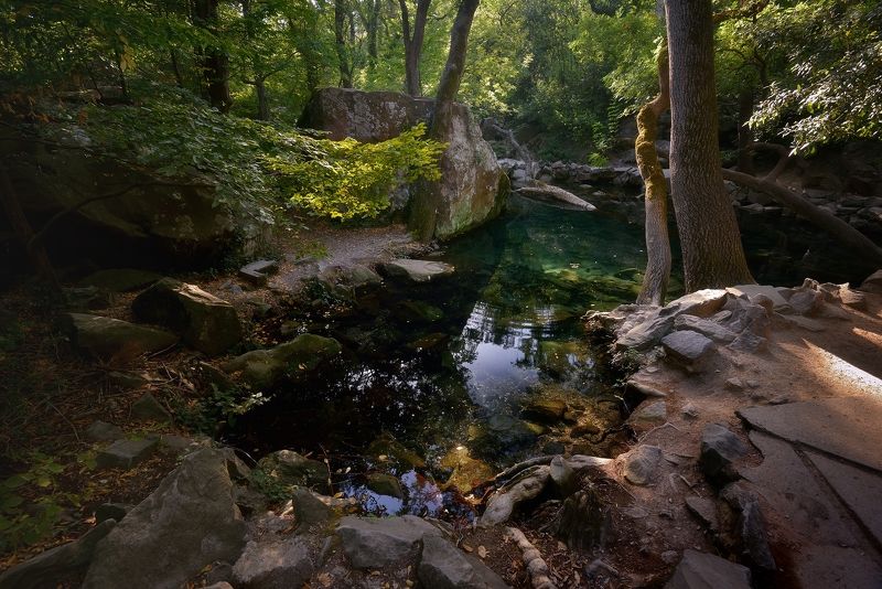 В лесуphoto preview