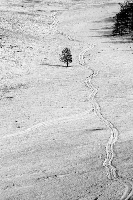 зима Байкал дерево  Оно застыло …не в лесу, не в перелеске..photo preview