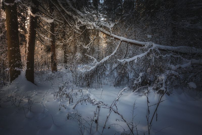 декабрь Московская обл. природный резерват Долина реки Вяземка Зимняя сказка...photo preview