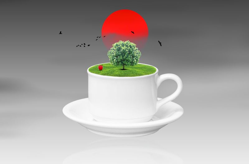 A Cup of Fantasyphoto preview
