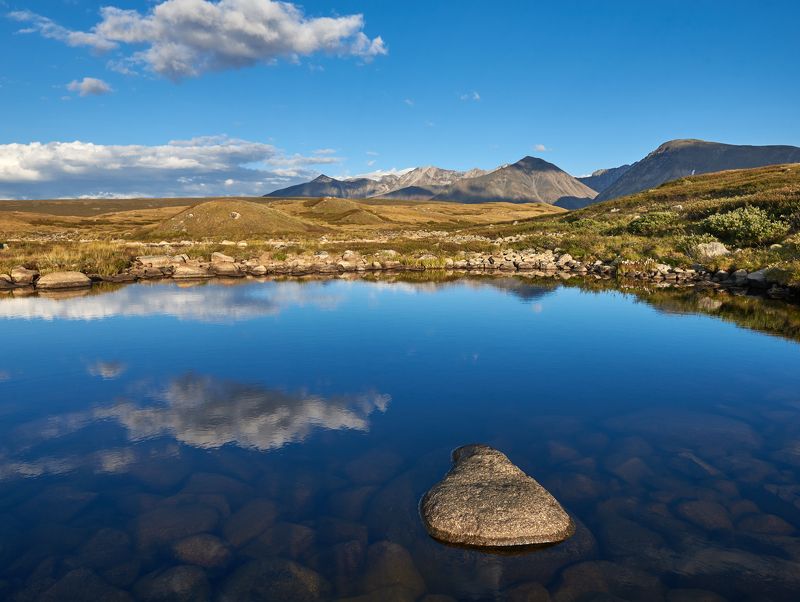 Выскочкаphoto preview