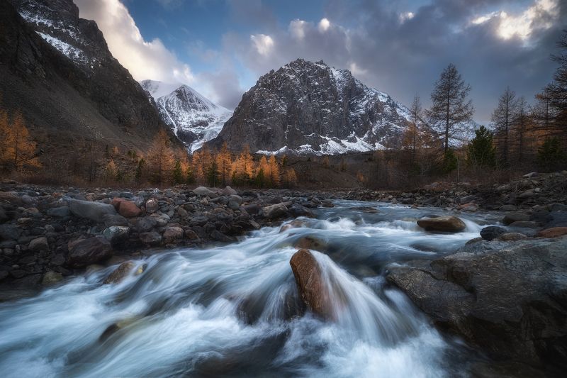 алтай, горный алтай, пейзажи алтая, кош-агачский район, горная река, золотая осень, горы, осенний алтай, горное ущелье, актру, долина актру Студёные воды осениphoto preview
