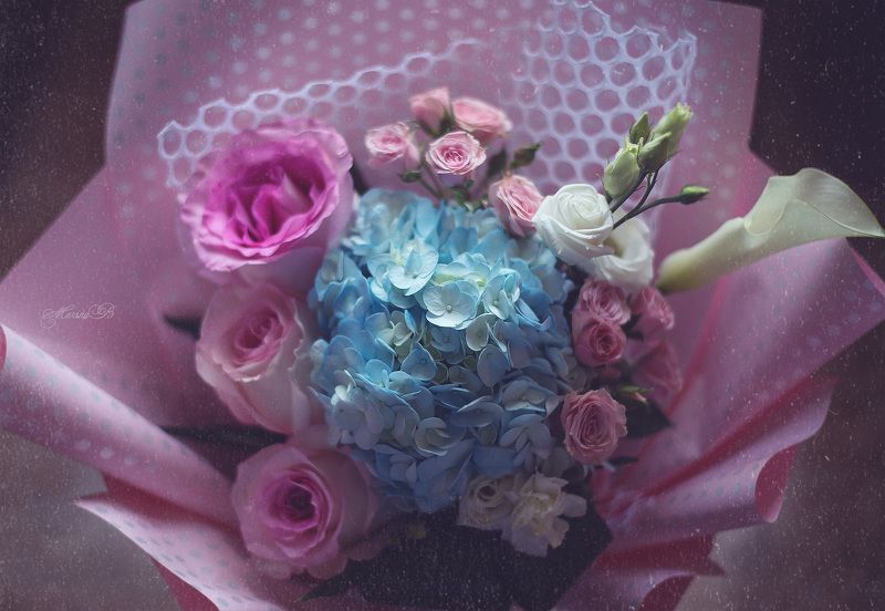 цветы, розы, гортензия, нежность, макро Палитра нежных красокphoto preview