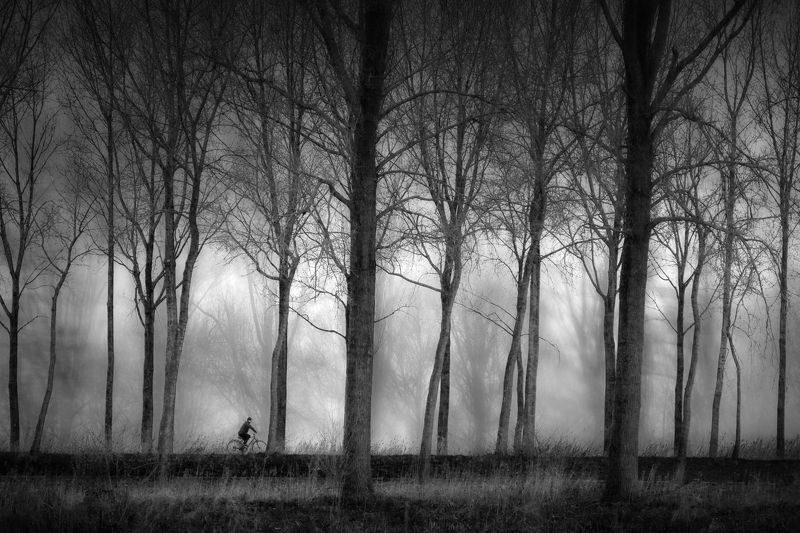 The Lonely Cyclistphoto preview