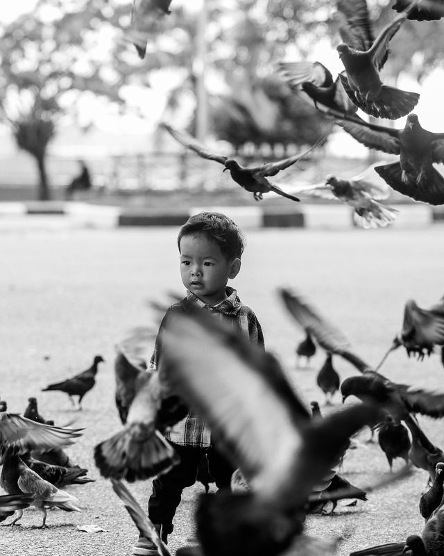 #pigeons #bird #children #portrait #blackwhite #street playing with pigeonsphoto preview