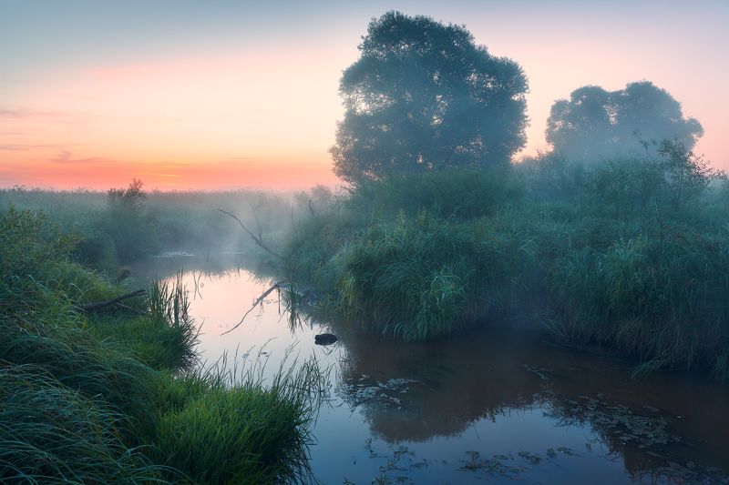 Бочажок ... фото превью