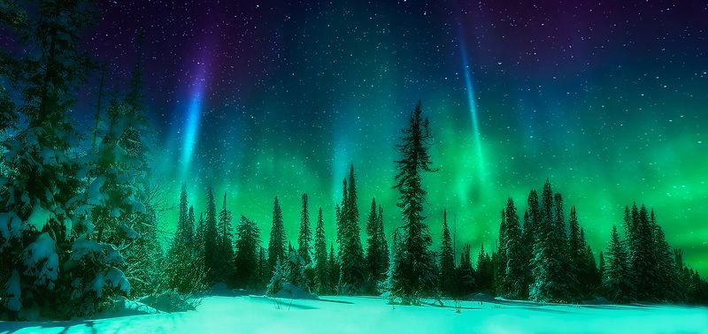 winter forest sky sunset nature landscape ~~~photo preview