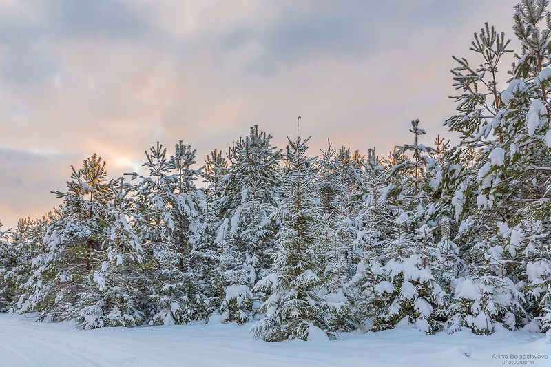 Там, где Морозко из сказкиphoto preview