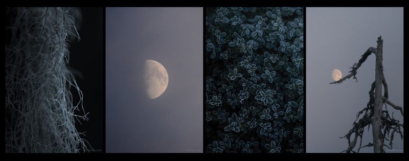 На обратной сторонеphoto preview