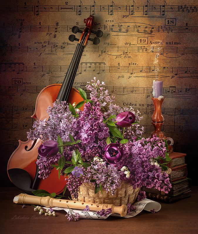 букет,цветы,натюрморт,скрипка Со скрипкой и сиреньюphoto preview