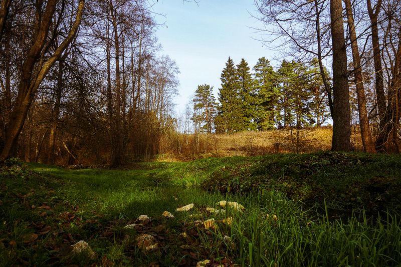 пейзаж photo preview