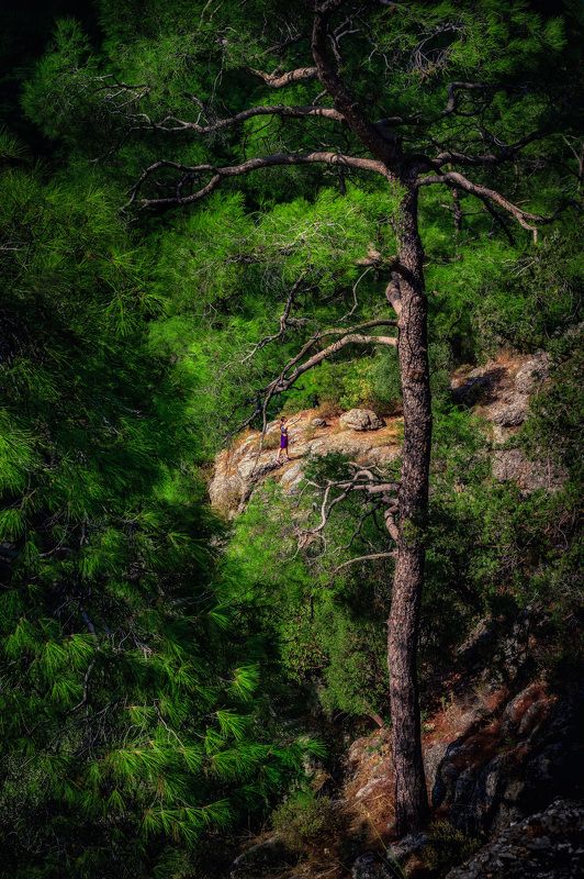 Девочка и деревоphoto preview