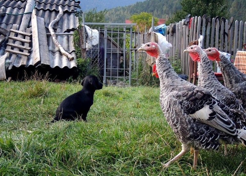 Разбор полётов...photo preview