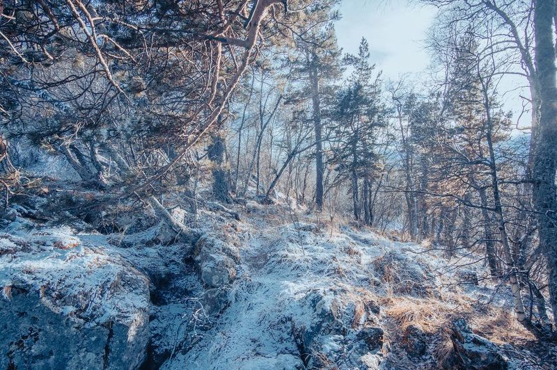 Зимнее настроениеphoto preview