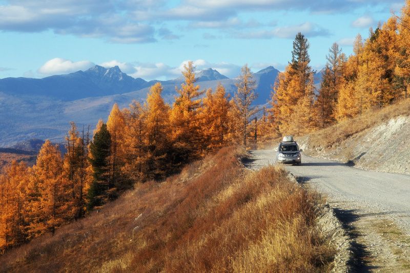 осень, алтай, автопутешествия, улаган Дорога в осеньphoto preview