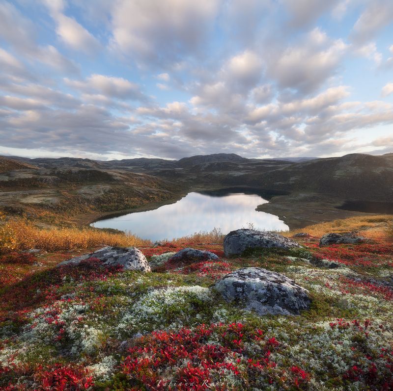 Осенняя тундра похожа на восточный коверphoto preview