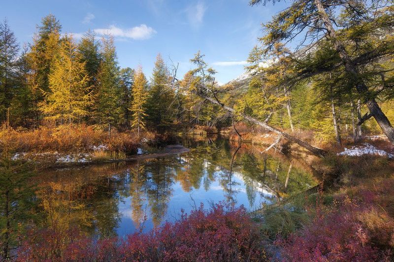 Ручей Неведомыйphoto preview