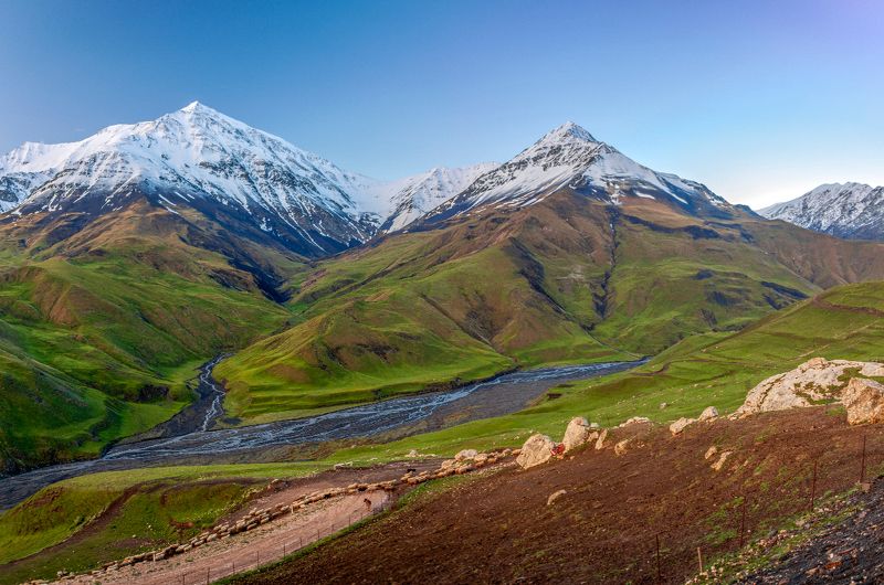 Курушphoto preview