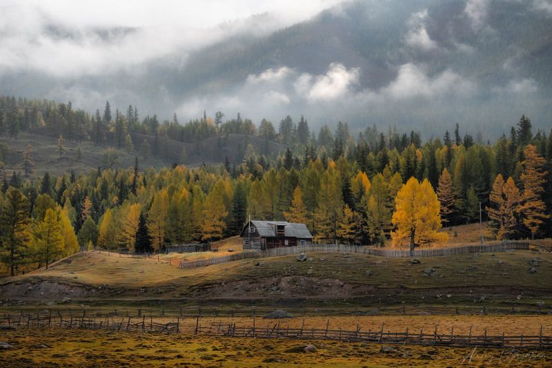 altay, autumn, house, green, yellow, landscape, Foggy morningphoto preview