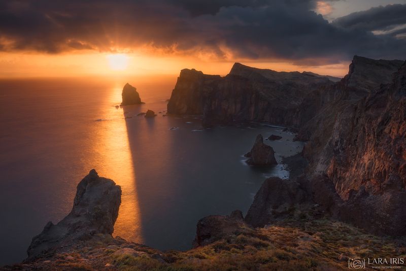 Мадейраphoto preview