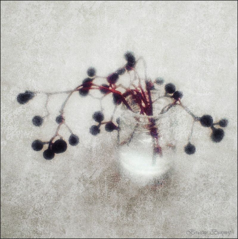 монокль, manuallens, artphoto Декабрьский букет фото превью