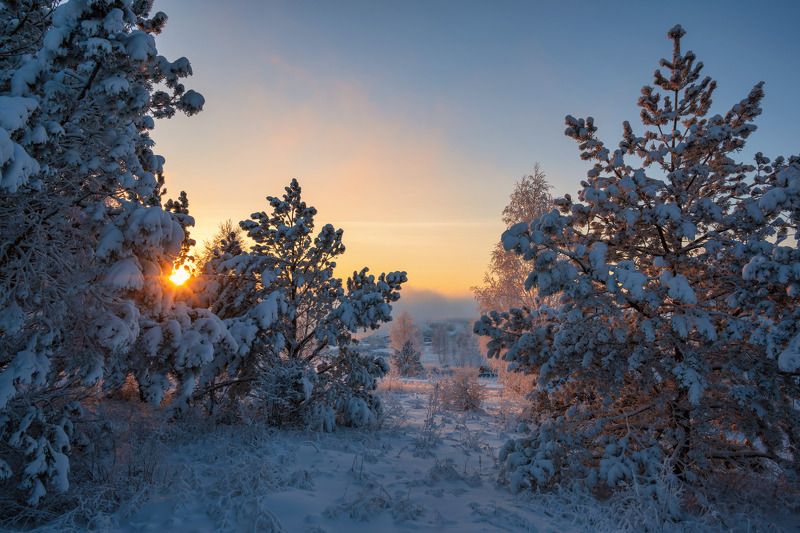 Морозный вечерphoto preview