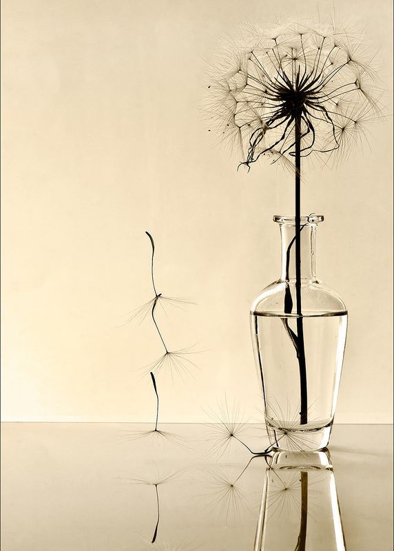 Графикаphoto preview