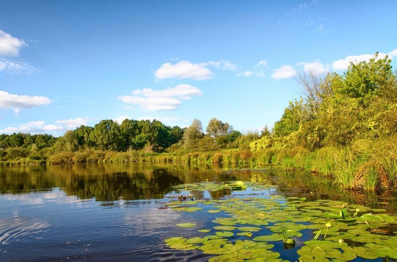 Озеро Усовьеphoto preview