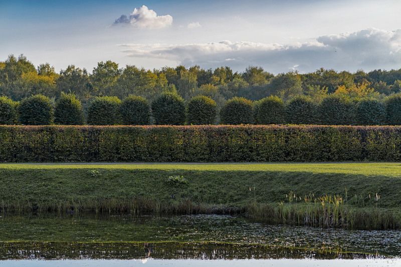 Ранняя осень в Кусковоphoto preview