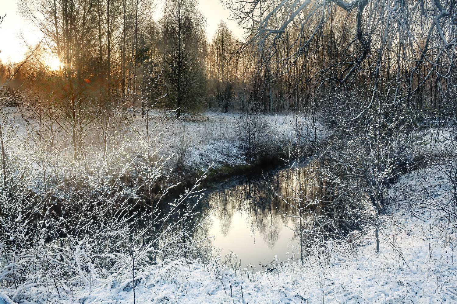 Автор: Васенков Геннадий , Васенков Геннадий