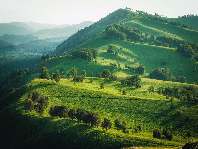 пейзаж, горы, алтай, зелёный, landscape, mountains, altay, green Алтайскоеphoto preview