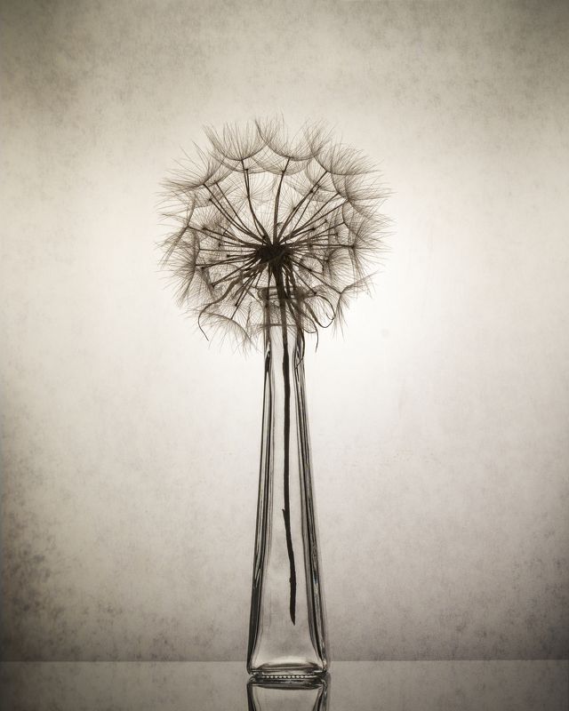 art, design, objects, light, standing, studio, still life, white, black, glass, photo preview