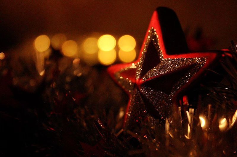 christmas, macro, holiday, winter, christmas decoration Christmas starphoto preview